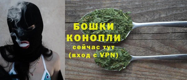 ECSTASY Сосновоборск