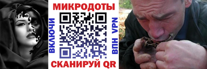 где купить наркоту  Воркута  hydra tor  Псилоцибиновые грибы мицелий 